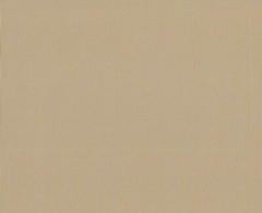 Ткань Оксфорд PVC 420 D 260+/-20гр.м2 (0.25 мм) рул 50м гладь (Бежевый 1113)