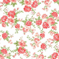 Полотно трикотажное Кулирка 30/1 набивная в рулоне  в Нальчике